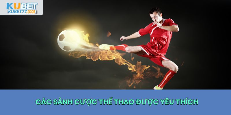 Các sảnh cược thể thao được yêu thích tại nhà cái