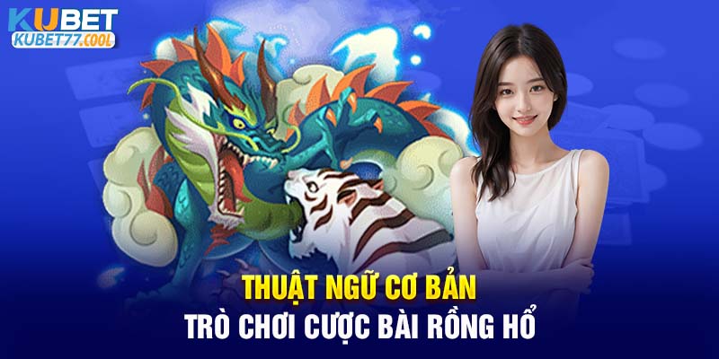  Thuật ngữ cơ bản trò chơi cược bài Rồng Hổ